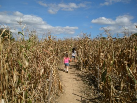 Kasen and Sarah running in the corn maze